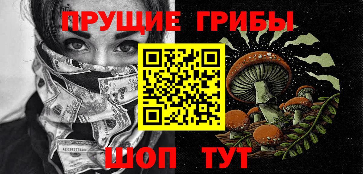 Москва  Псилоцибиновые грибы Psilocybine cubensis  Вход с VPN  Псилоцибиновые грибы Psilocybe 